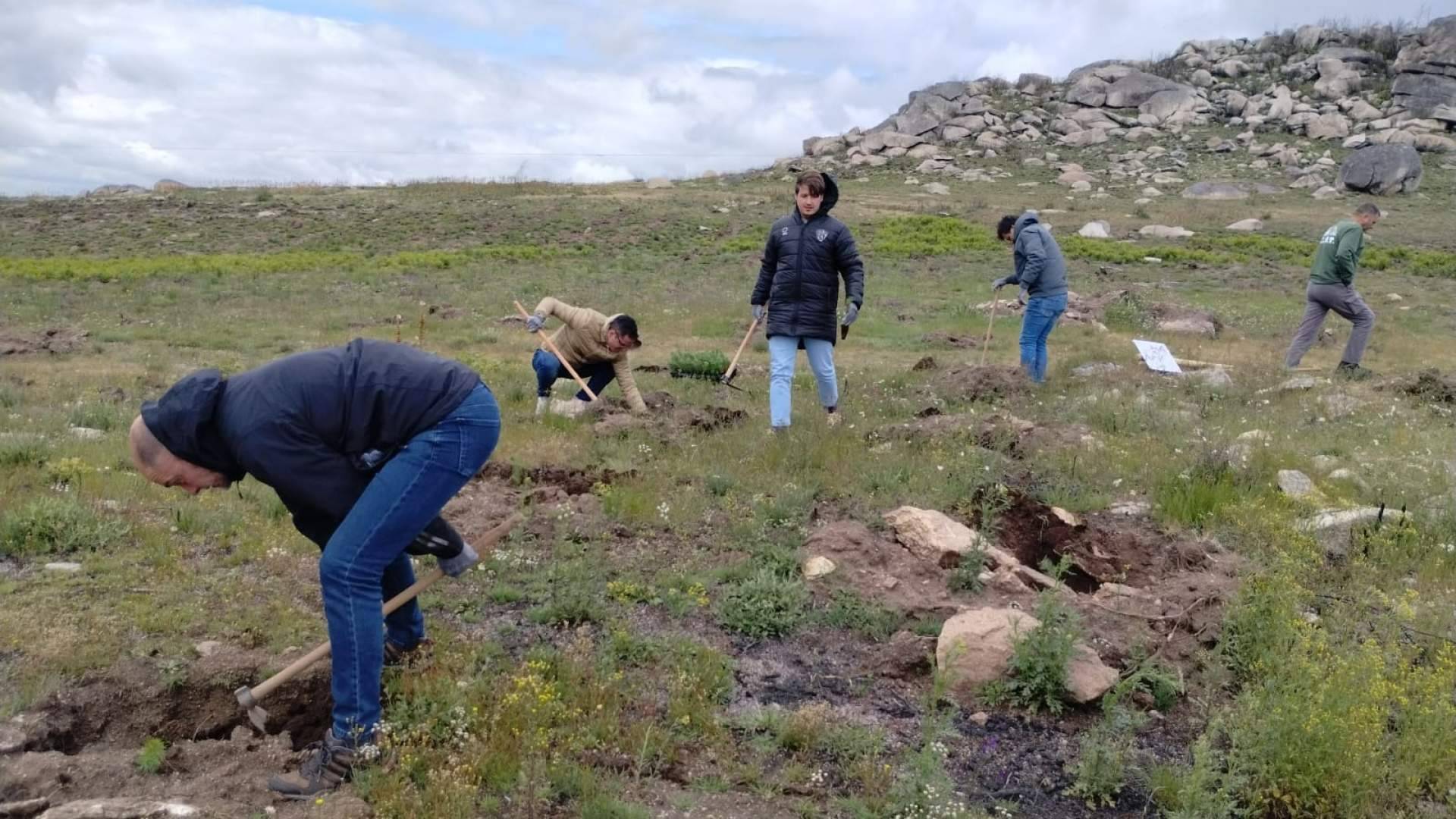 CO2 GESTIÓN, FOXY, y Fundación Alcoraz consolidan su compromiso ambiental con un nuevo bosque en Galicia